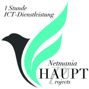 ICT-Dienstleistung 1 Stunde